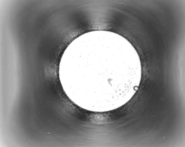 X0000103970305200810031230