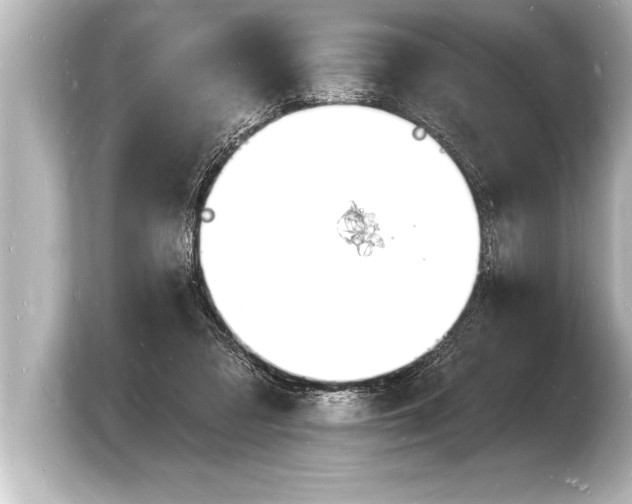 X0000103970309200810031230