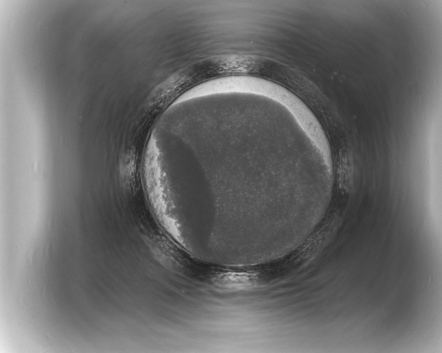 X0000103970314200810031229