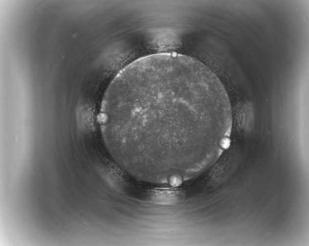 X0000103970316200810031229