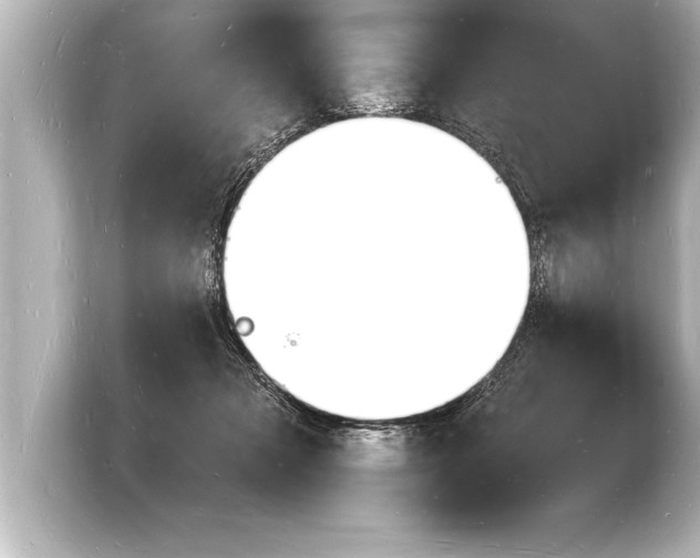 X0000103970317200810031229