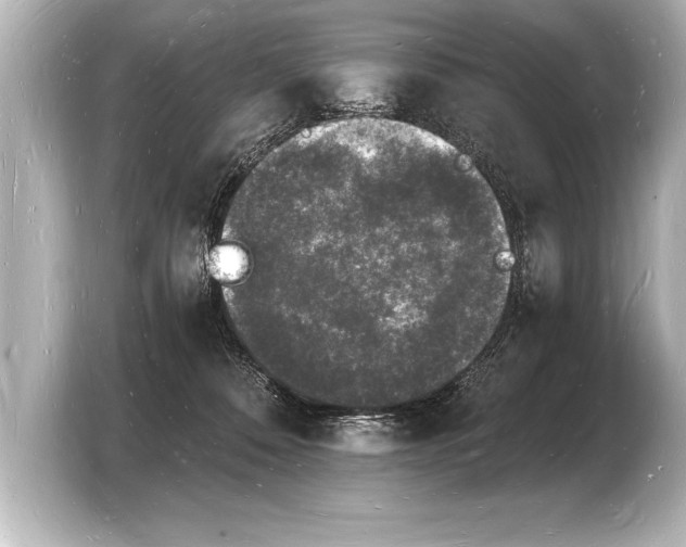 X0000103970320200810031229