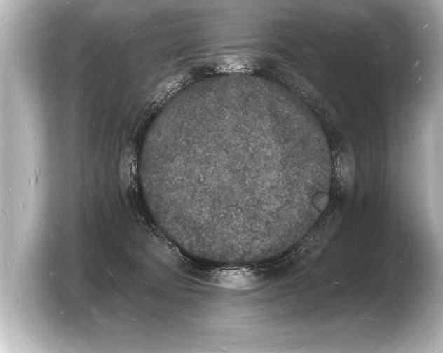 X0000103970322200810031229