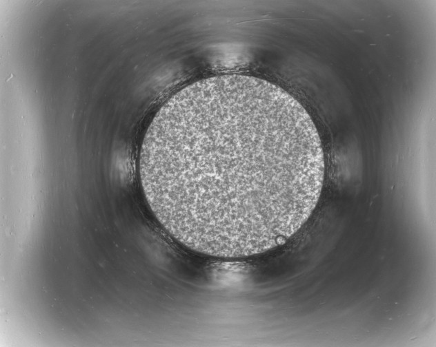 X0000103970324200810031229