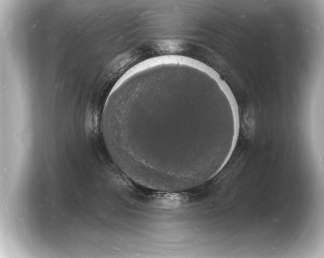 X0000103970330200810031229