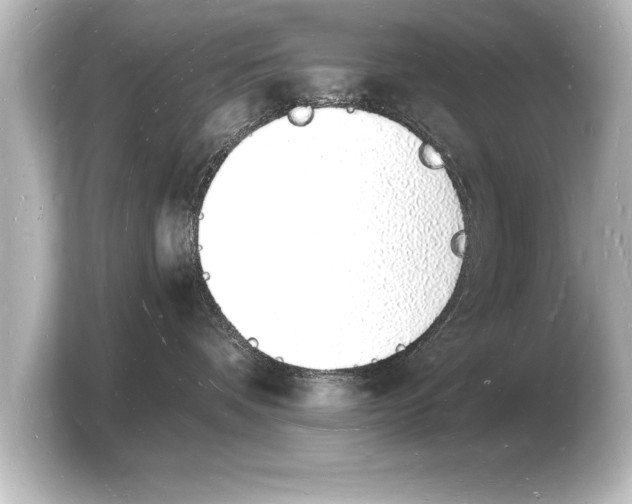 X0000103970336200810031229