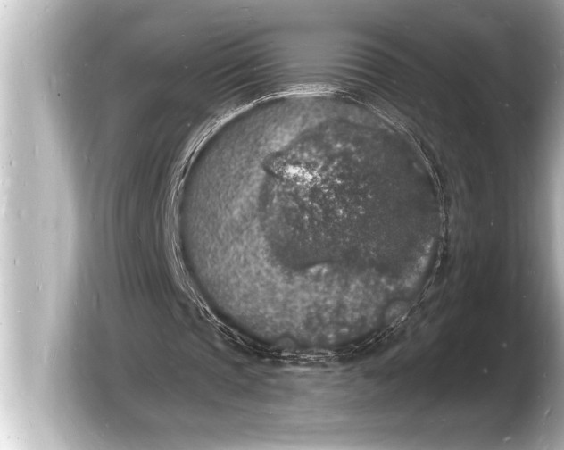 X0000103970337200810031229