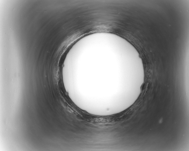 X0000103970338200810031229