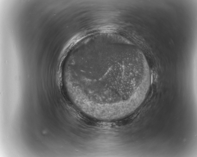 X0000103970339200810031229