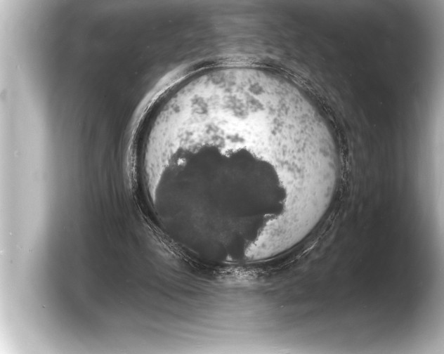 X0000103970343200810031229