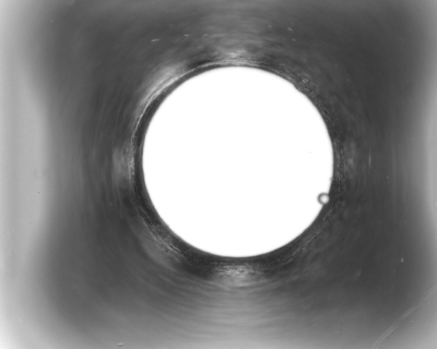 X0000103970344200810031229