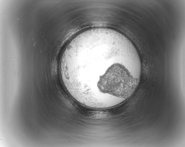 X0000103970347200810031229