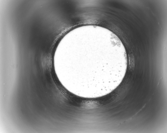 X0000103970348200810031229