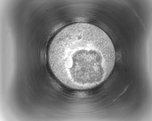 X0000103970349200810031229