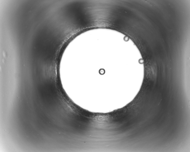 X0000103970350200810031229