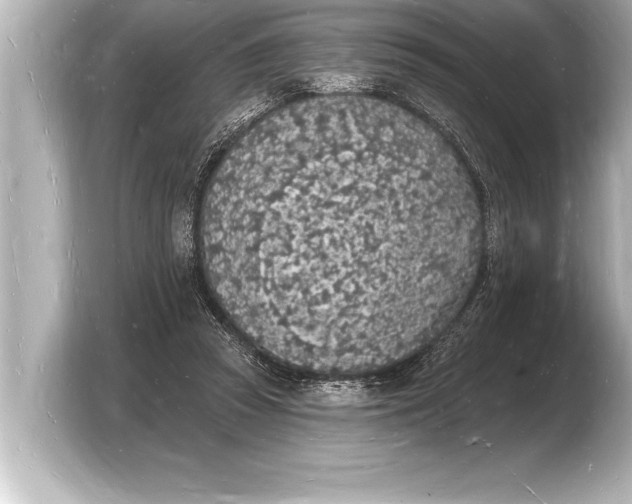 X0000103970353200810031229