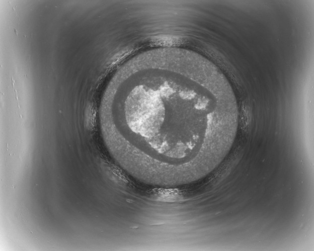 X0000103970355200810031229