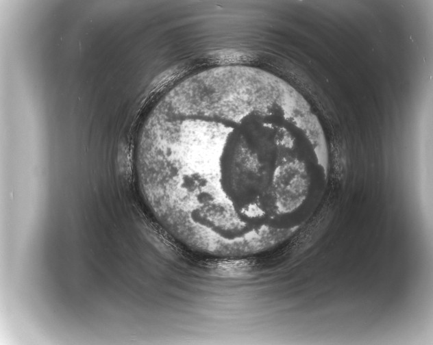 X0000103970357200810031229