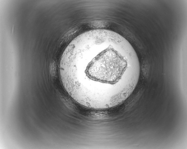 X0000103970359200810031229