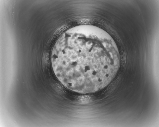 X0000103970361200810031229