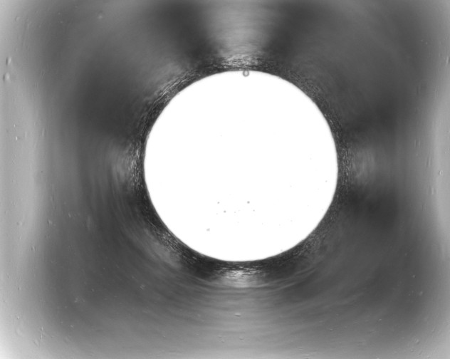 X0000103970364200810031229