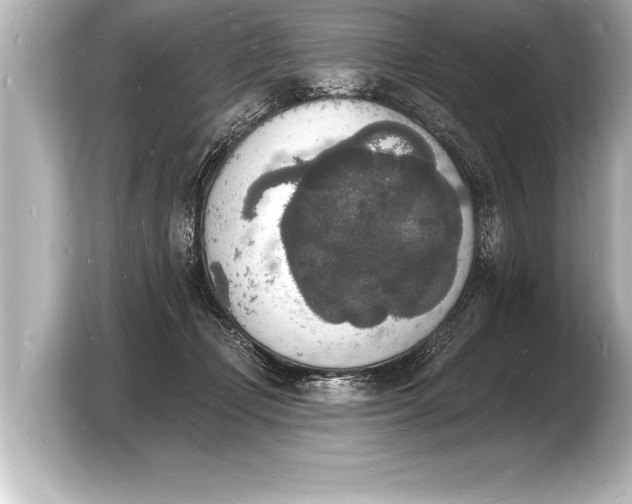 X0000103970365200810031229