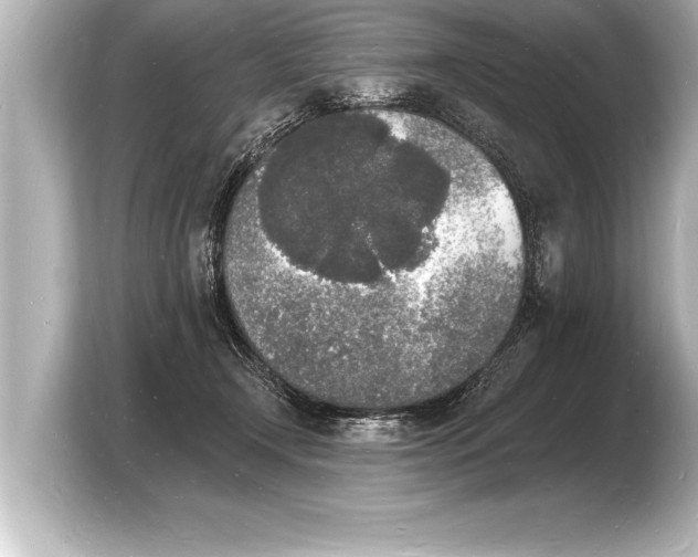 X0000103970366200810031229