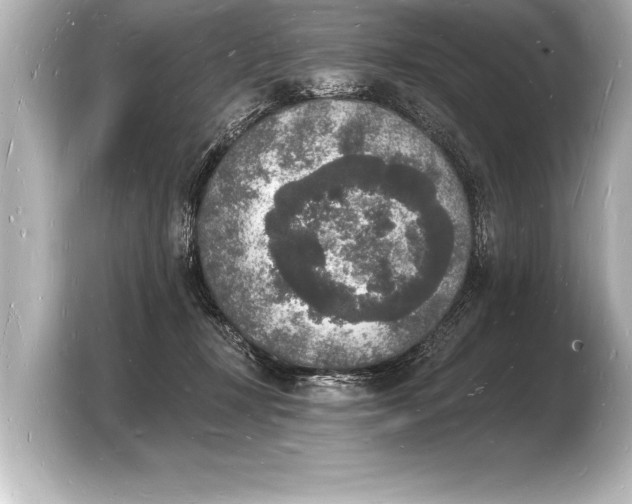 X0000103970367200810031229