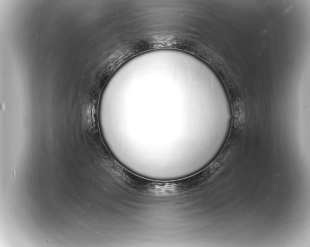 X0000103970369200810031229