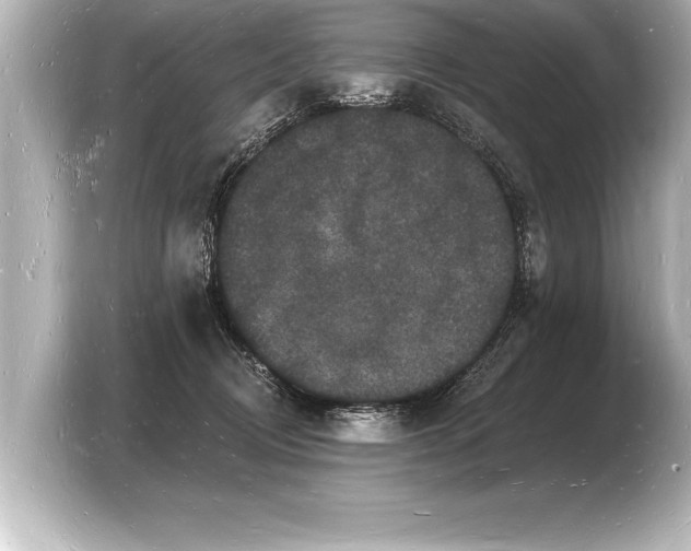 X0000103970370200810031229