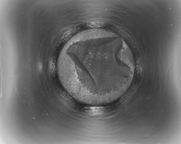 X0000103970371200810031229