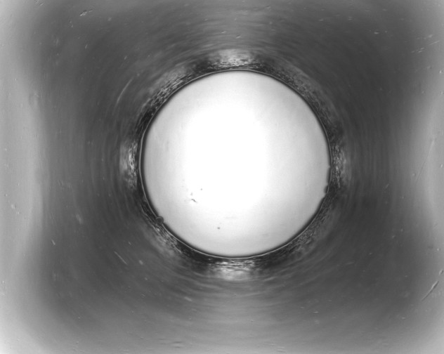 X0000103970373200810031229