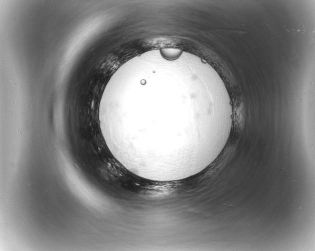 X0000103970381200810031229