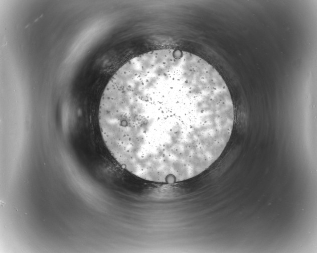 X0000103970382200810031229