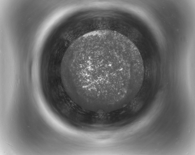 X0000103970383200810031229