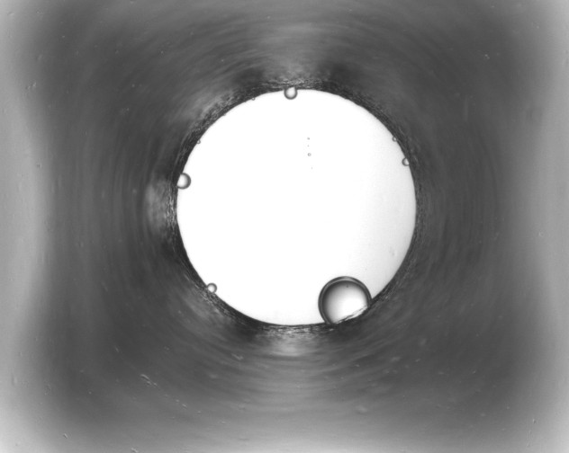 X0000103970384200810031229