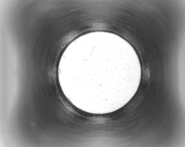 X0000103970389200810031228