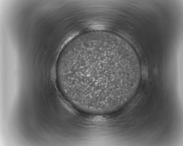 X0000103970390200810031228