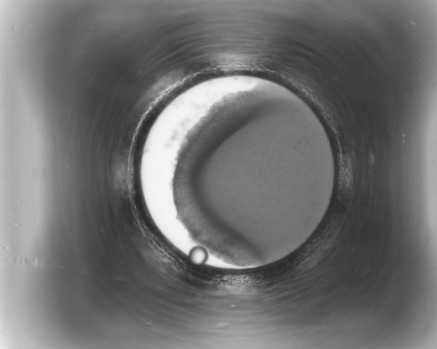 X0000103970391200810031228