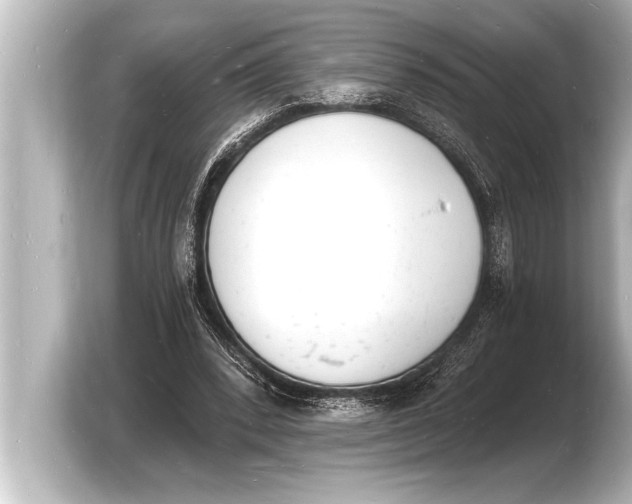 X0000103970392200810031228