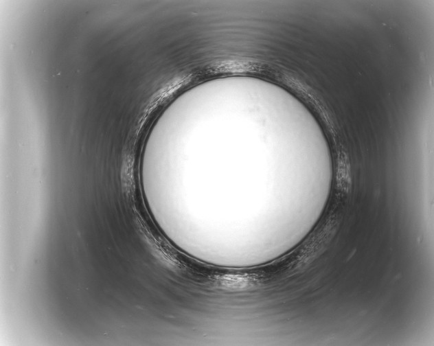 X0000103970394200810031228