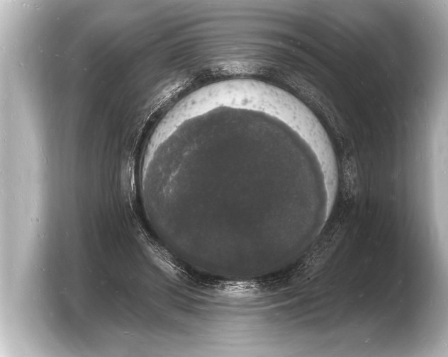 X0000103970398200810031228