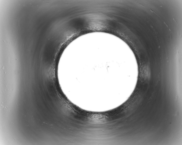 X0000103970399200810031228