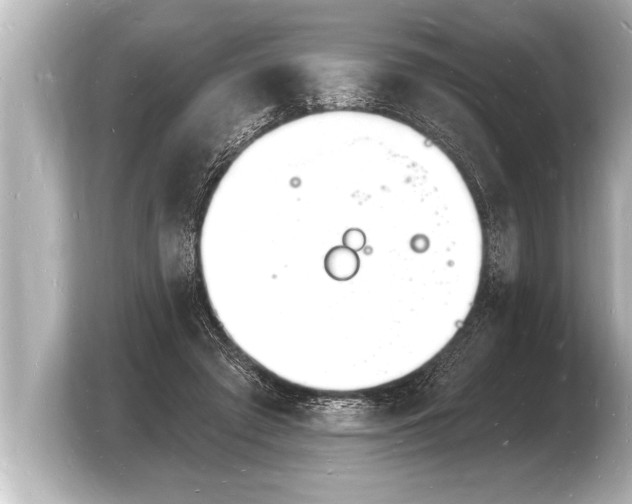 X0000103970401200810031228