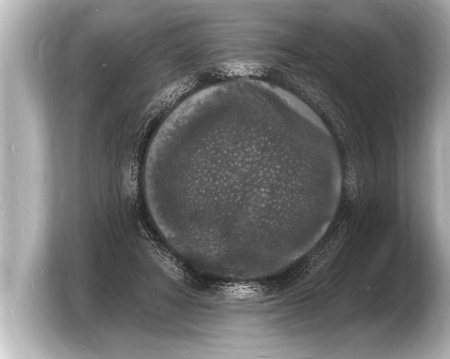 X0000103970402200810031228