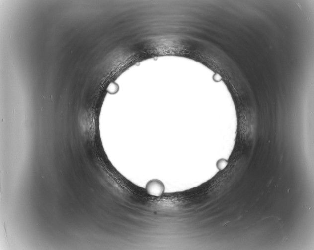 X0000103970405200810031228