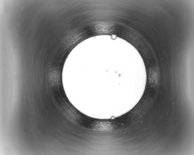 X0000103970409200810031228