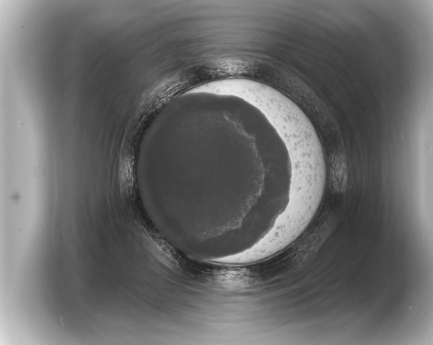 X0000103970410200810031228