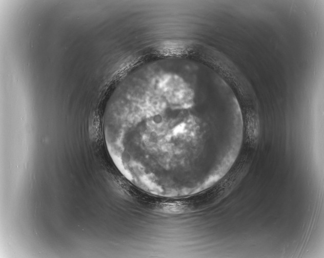 X0000103970411200810031228