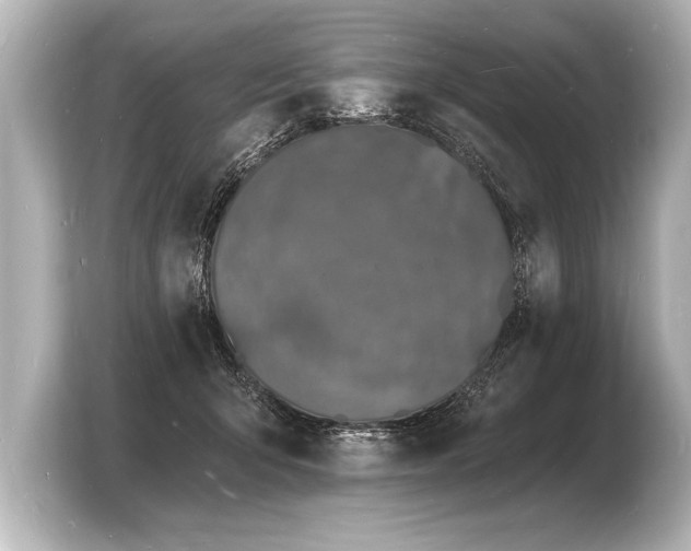 X0000103970415200810031228